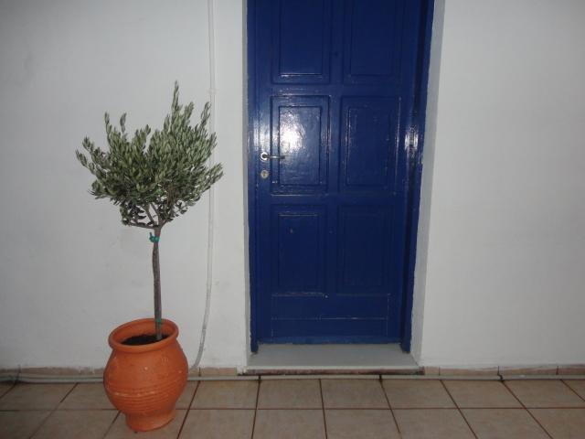 Pavlos Rooms Livadia  Exterior photo